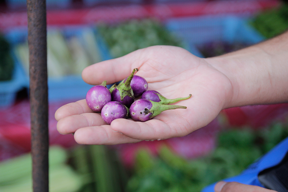 petites aubergines